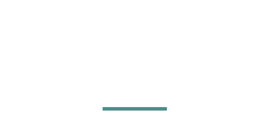 בודק